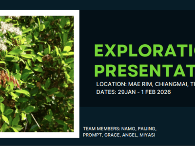 Gold Adventurous Journey Pushes Us to Our&nbsp;Limits